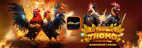 đá gà trực tiếp sabong|SABONG67 .